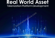 Top Real World Asset Tokenization Development - Beleaf Technologies