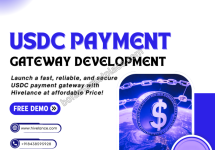 USDC Payment Gateway Development Company