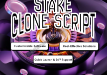 Launch Your Own Stake-Like Gaming Platform – Get a Free Demo Today!