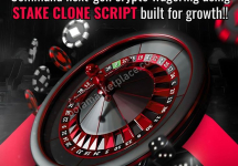 Stake Clone Script: Turn Your Casino Vision into Reality at Minimal Costs