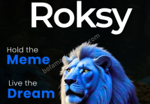 Have you heard about Roksy Meme Coin yet, could this be the next viral crypto trend?