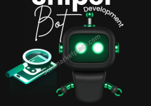 Hit Every Opportunity In The Market With Sniper Bot